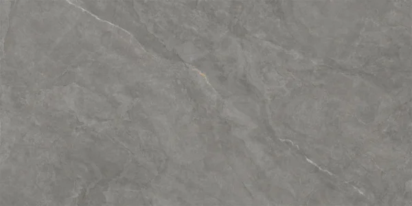 LG0123 0410玛莱格灰100x200x6 2 jpg