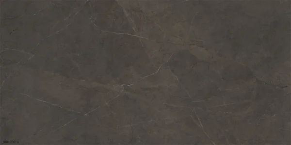 lg1722 0804克鲁斯棕 100x200x6 3 jpg