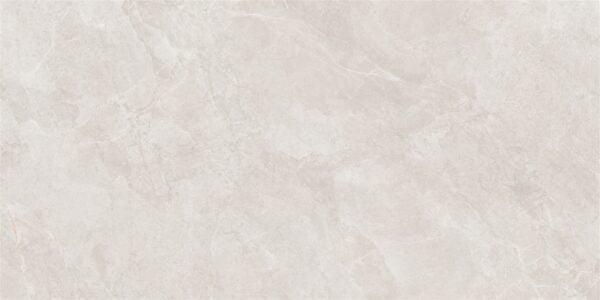 LG0122 1102罗斯西灰 100x200x6 3