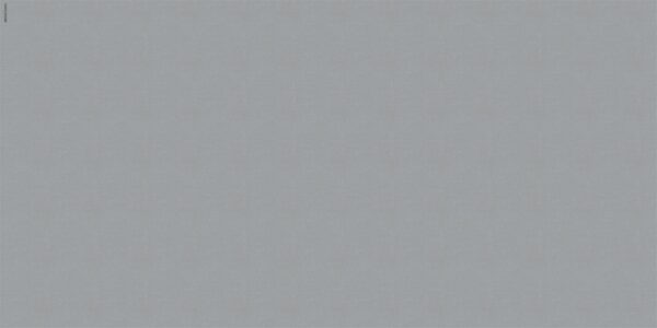 LG0922 0303 100x300x4烂漫时节 2