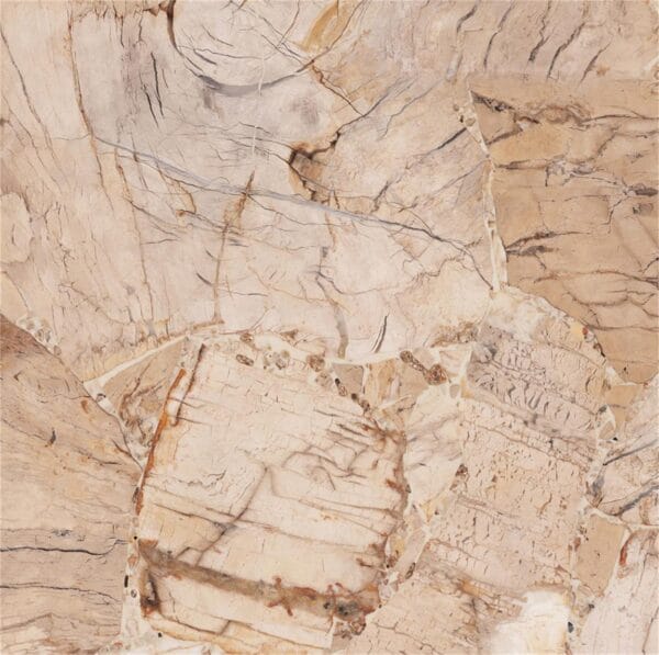 lg0120 0505 柠檬金 2