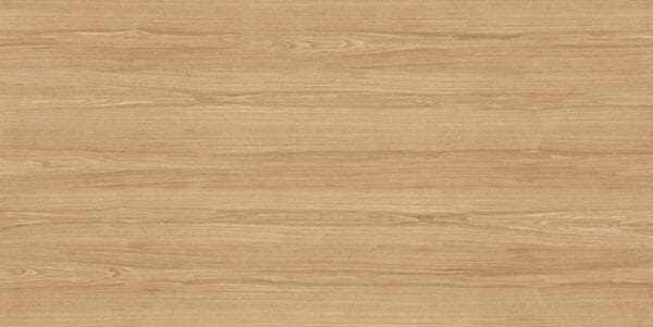 Lg0120 1104洋槐（刺槐）150x300 2
