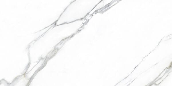 lg0419 1007 100x200x6 雪花白 4 scaled