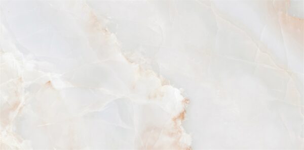 lg0216 1225 4 scaled