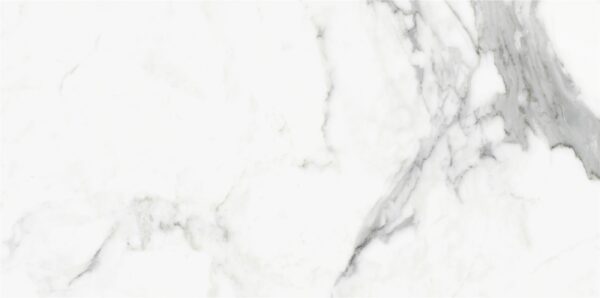 lg0216 1226 4 scaled