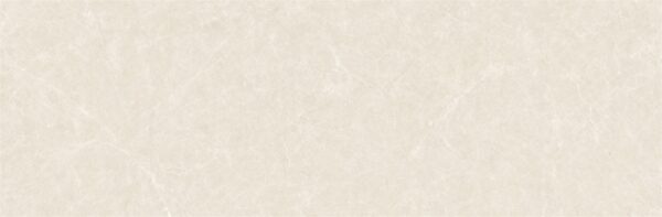 lg0216 0825白玉兰 100x300 4 scaled