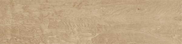 lg0717 0608 6面 31X121 4