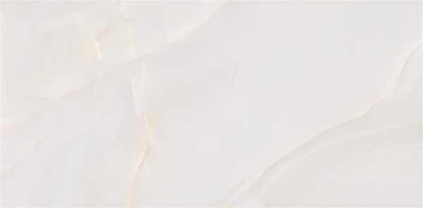 lg0517-0828