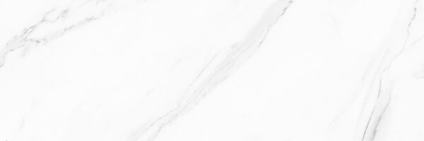 lg0516-1207