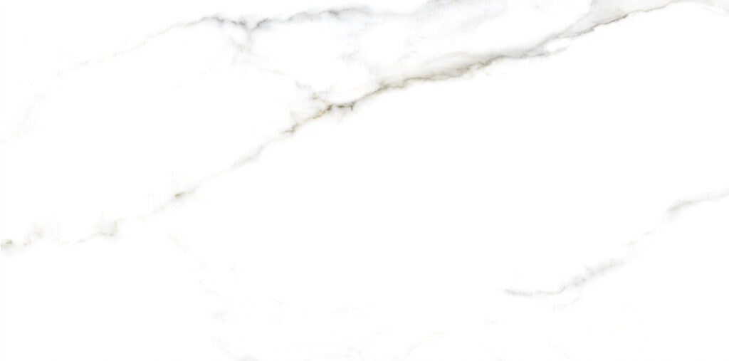 lg1017 0738 30x60 4