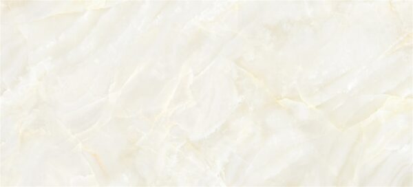 lg0215-0828