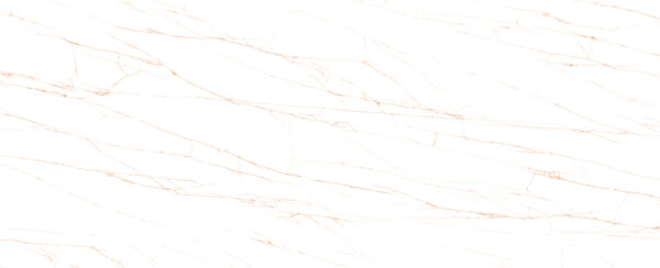lg0715-0104