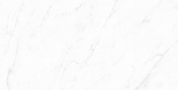 lg0215-0708