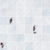 lg0514 1231 6