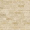 lg1315 1001 30X60 4